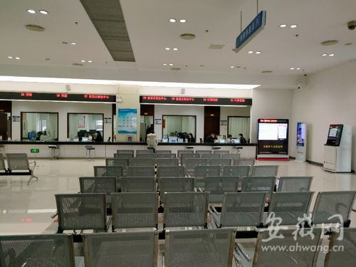 虎年開工首日探訪 安徽省政務服務中心窗口人員堅守崗位，熱情服務暖人心